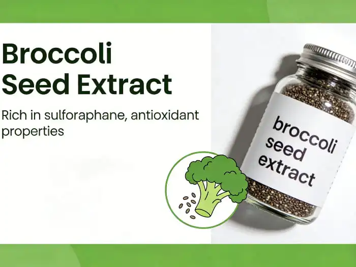 What Does Broccoli Seed Extract Do?
